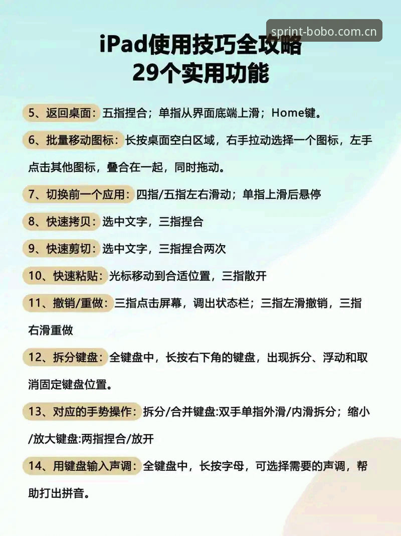 BOBO体育平台使用指南：从入门到精通的完整操作手册